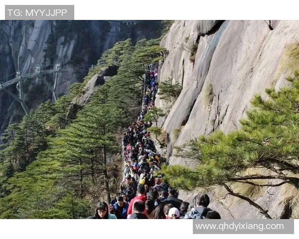 基德我们会帮弗拉格找到解题思路 希望他做个普通孩子享受旅程